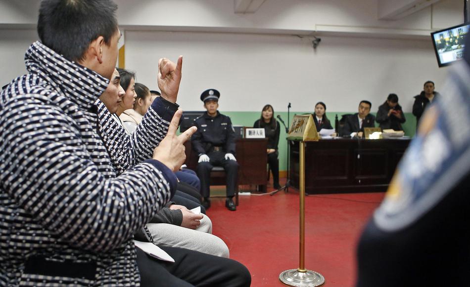 鸟蜂理论，在线视频观看指南