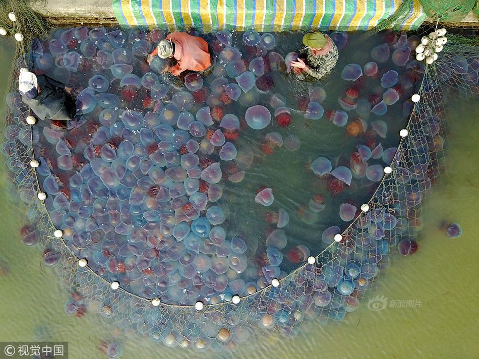 教育部：增设5个新医科专业，服务健康产业发展