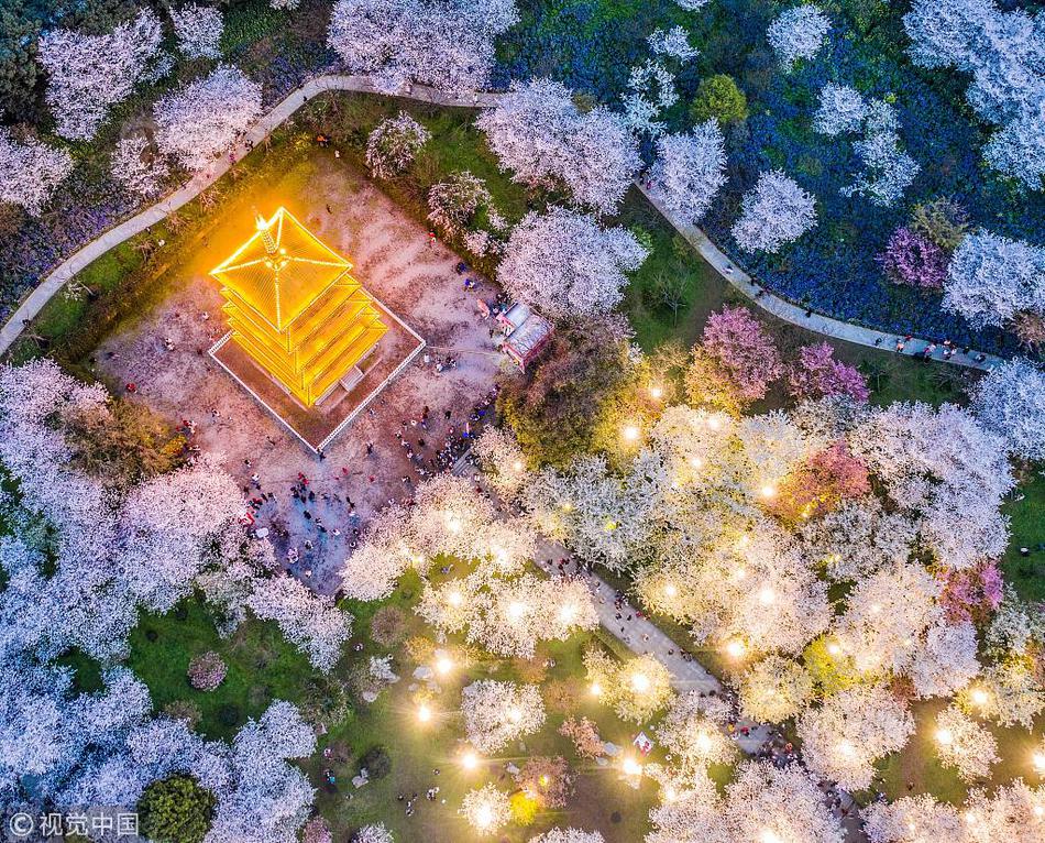 胎教什么时候开始？医生：这段时间是关键期！