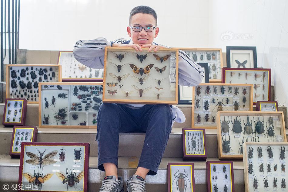 柏欣桐在线观看，探索与欣赏影视作品