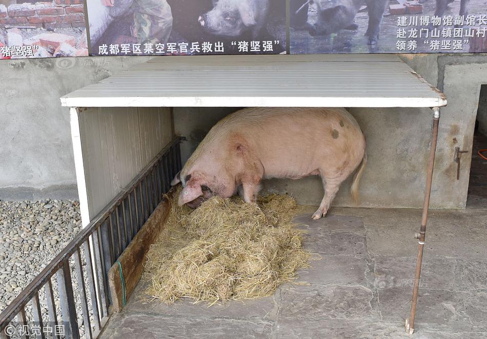 涩涩视频