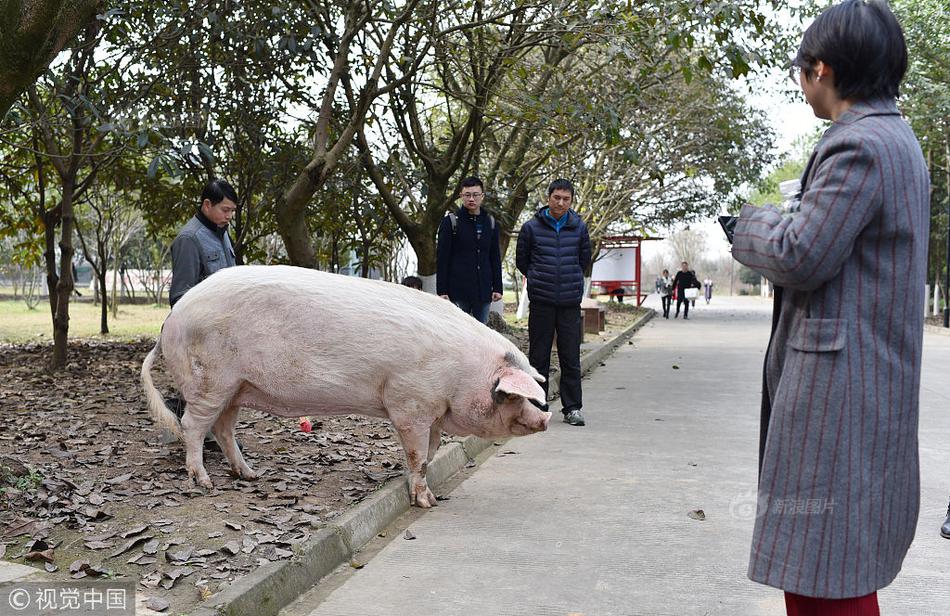 中国操逼喷水摸奶子