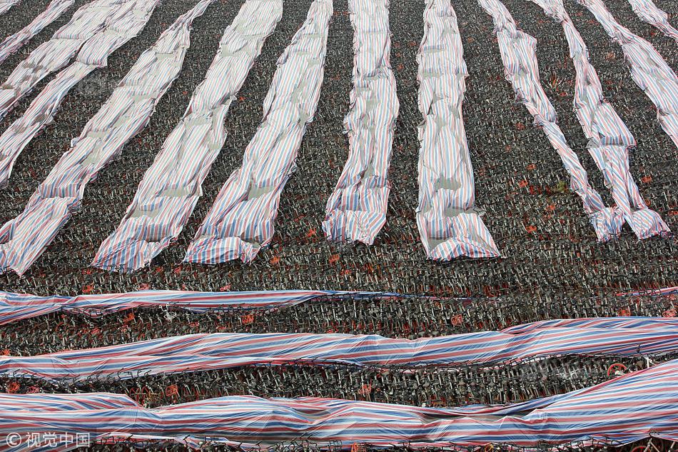 蕨菜怎么保存到下半年 