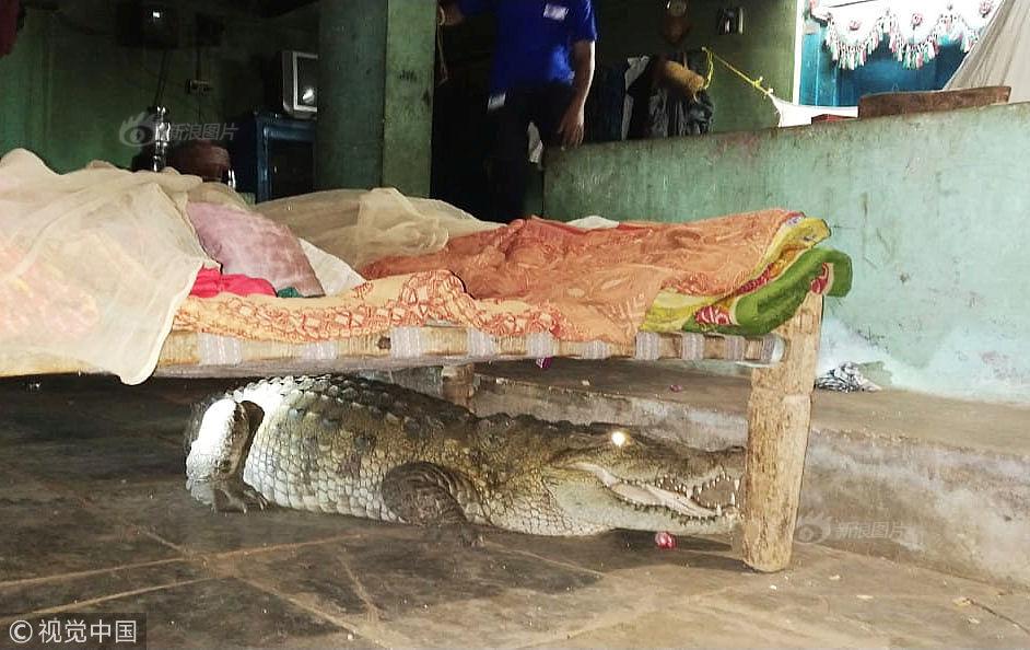 吃白條魚有哪些功效作用 