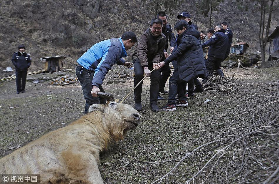 习近平同巴西联邦共和国总统举行会谈 两国元首一致同意推动中巴全面战略伙伴关系取得新的更大发展