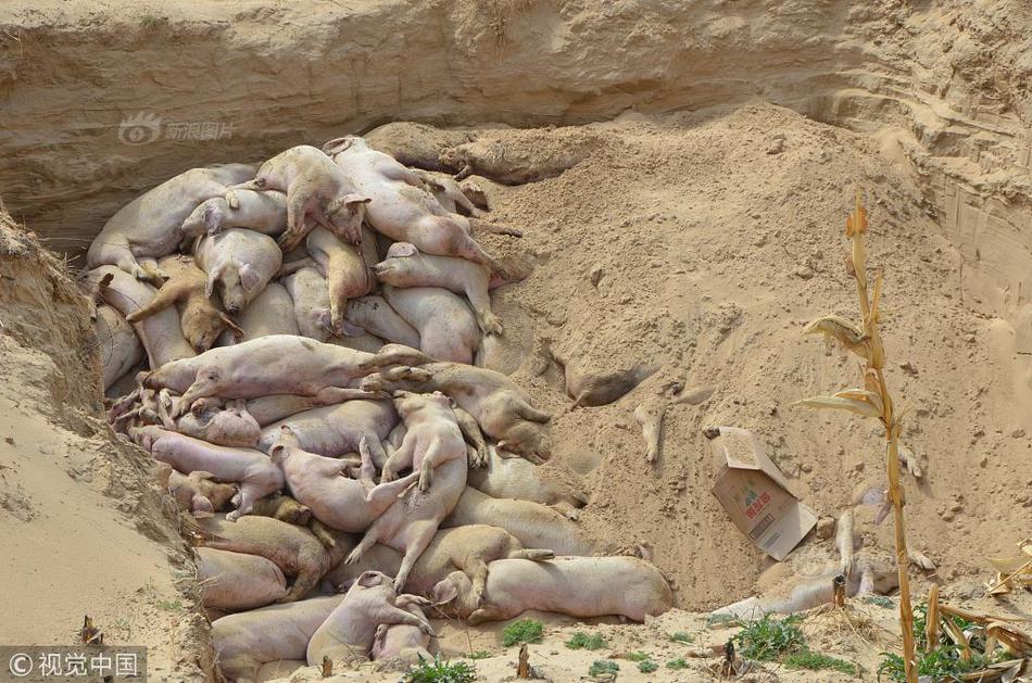 巔峰對決，指尖博弈：開啟您的全球體育投注新紀元 