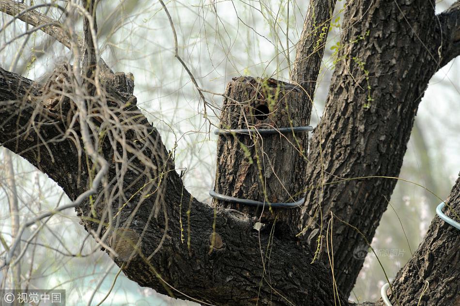 2024 香港網上賭博全攻略：從指尖上的博弈到財富躍升的藝術 