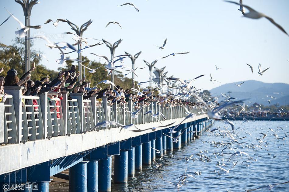 风油精伤不伤车漆 