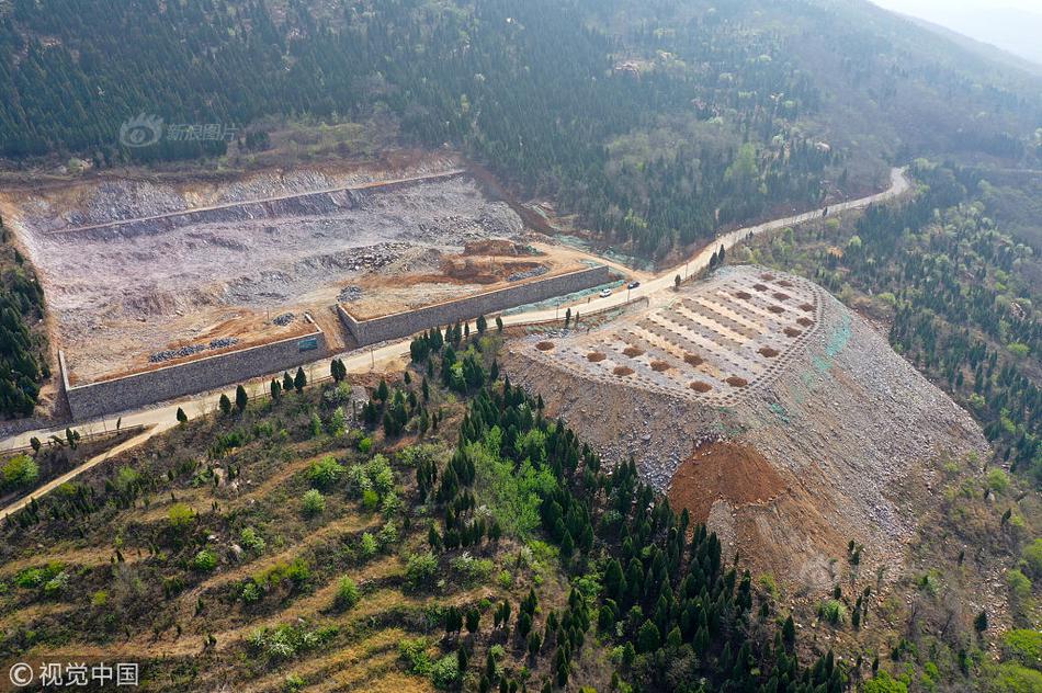 野山坡属于那个地区