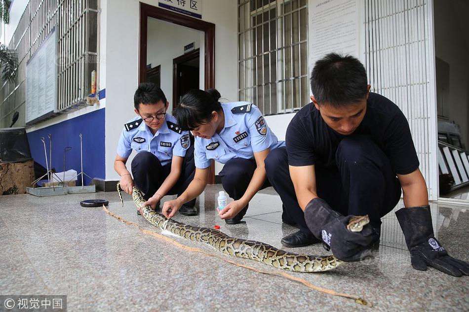 豆腐怎么炒啊