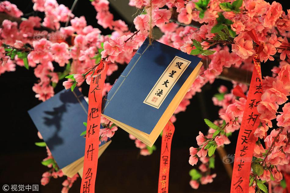 无码网站视频