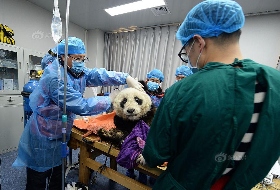 武漢附近賣婬的地方在什么地方,武漢哪里有高品質(zhì)的場子