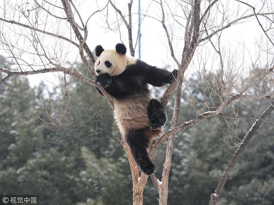 Chinese老熟女俱乐部