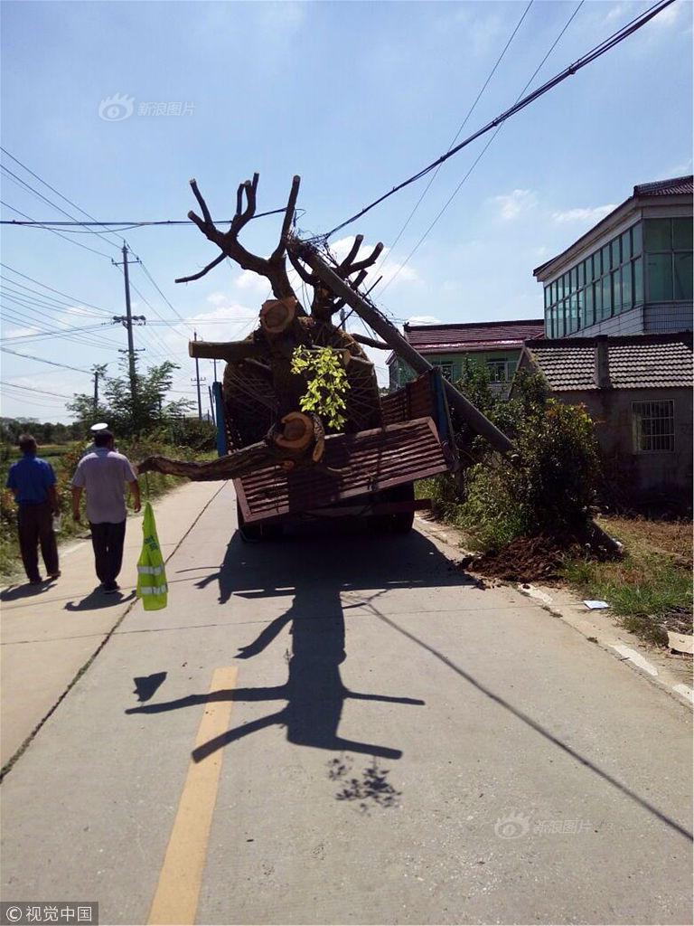 雷电被爆 乳喷自慰爽
