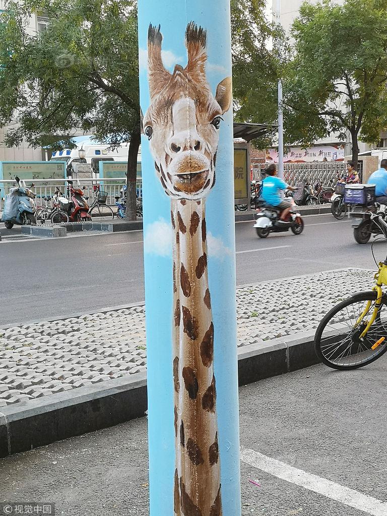 扒开老师 狂揉 视频app