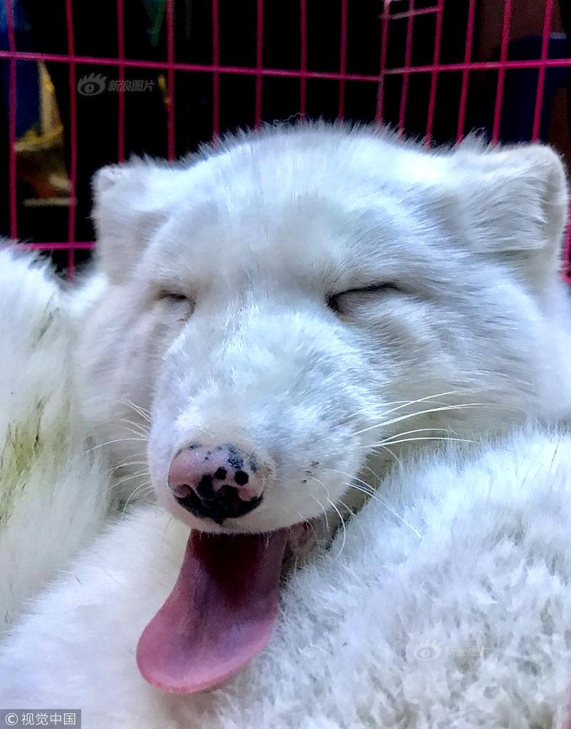 色综合欧美