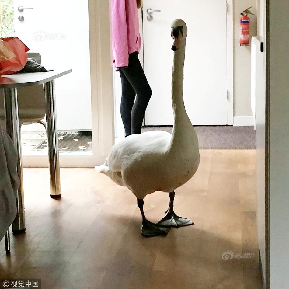 抖音走光
