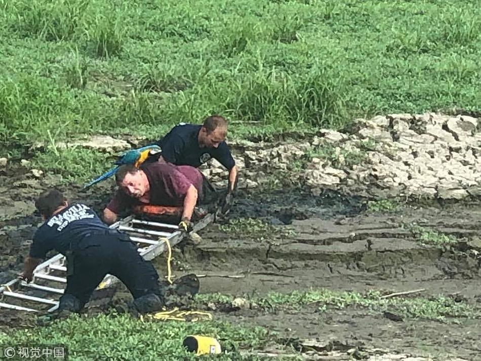 比特币暴涨接近10万美元，拉长时间，其实还不错