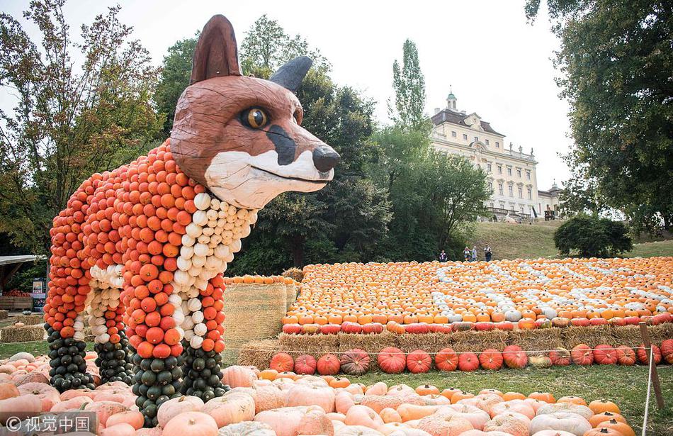 隱藏在隨機背後的數學之美：如何用「價值投資」邏輯，重新定義你的六合彩複式策略？ 