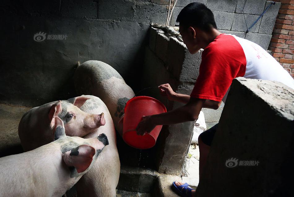 宁波代孕生殖套餐_妊娠具体分期