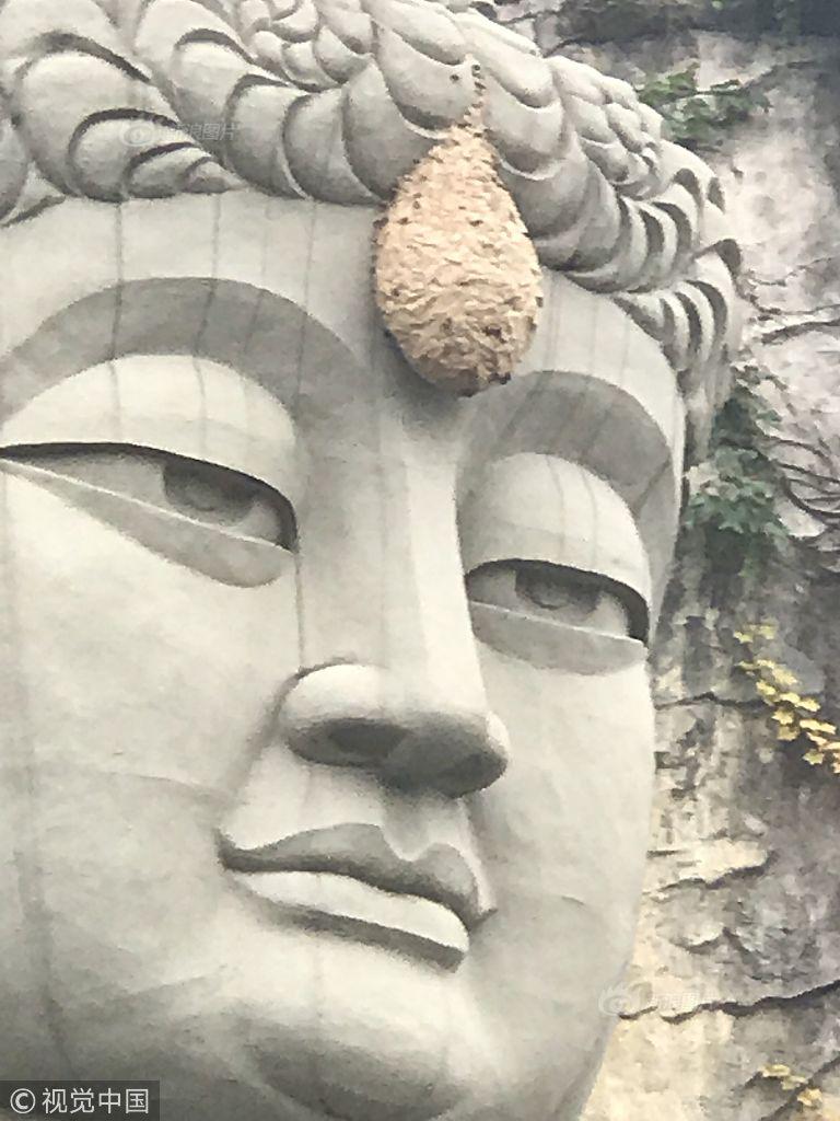 董卿扒开屁股让男人桶