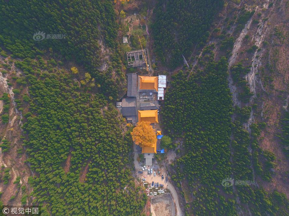 黄色电影黄色网站