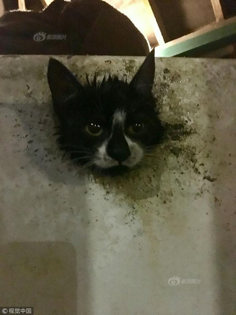 性猛交Xxxx乱大交孕妇
