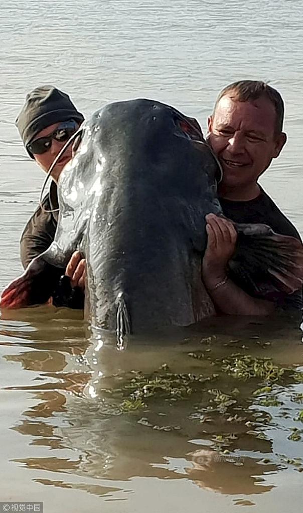 冷狐汉化300款黄油直装