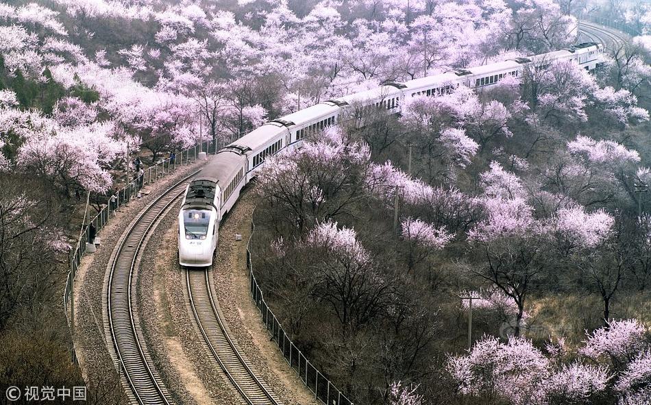 林予曦芭蕉兄弟访谈原片