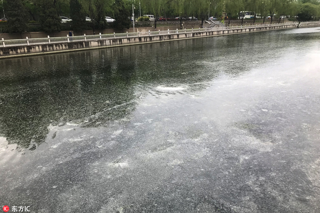 半程马拉松被取消，纯全马有四大优化