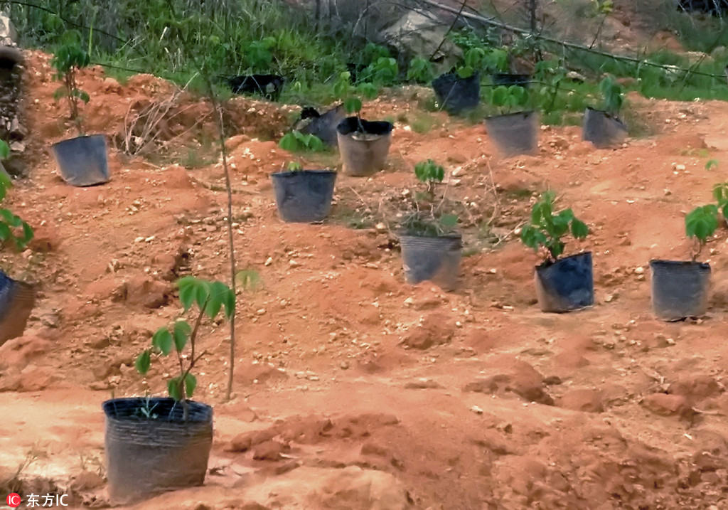 厚植道德沃土　凝聚向善力量