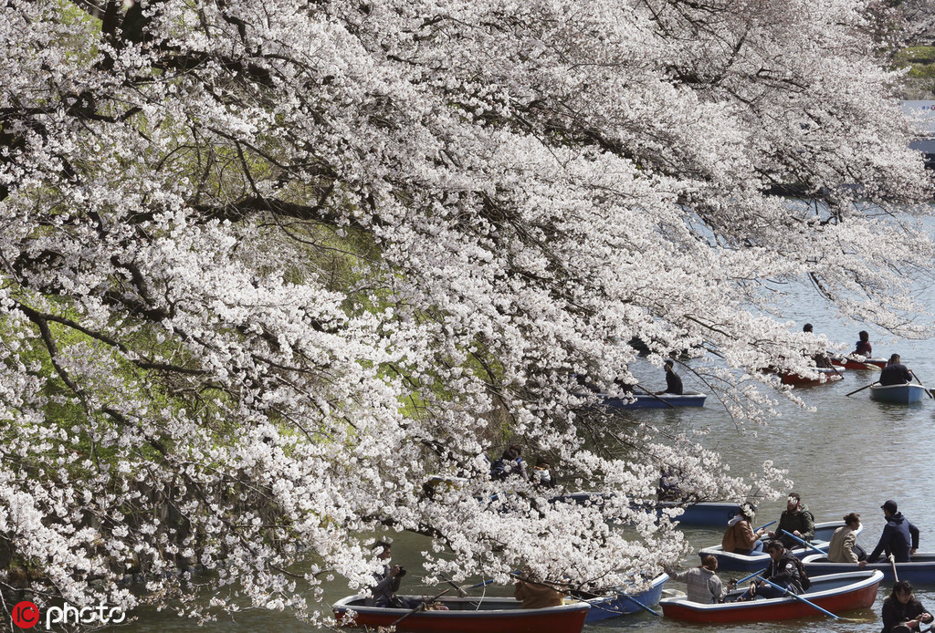 朝阳利锦府五居大平层