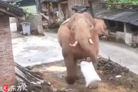 附近技师上门 _ 吸收的拼音,吸收的拼音怎么读音