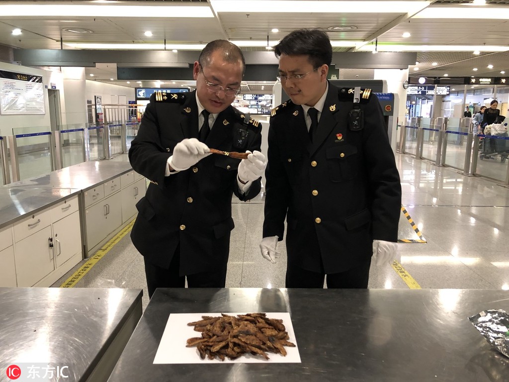 医生探秘剧情，在线观看与免费剧情介绍