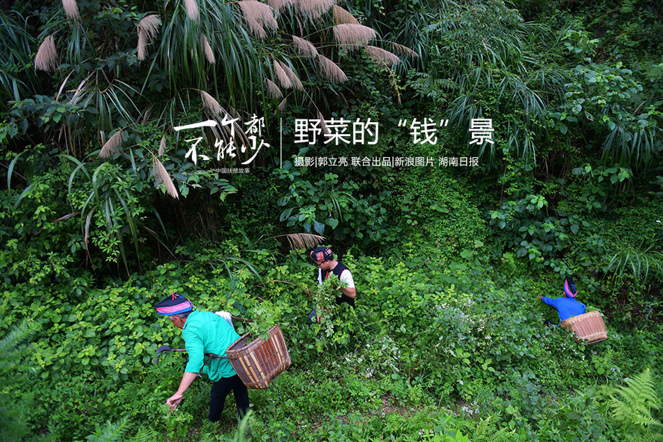 柏芝底部毛旺盛手扒