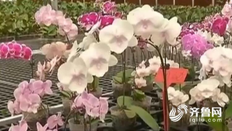 美欧淫荡片