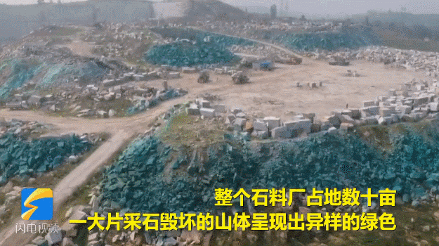 8x8x海外华人永久免费
