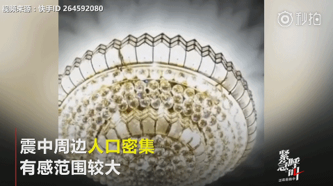 男人秘 桶进美女坤坤里