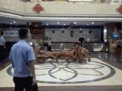 看中国女人的毛逼