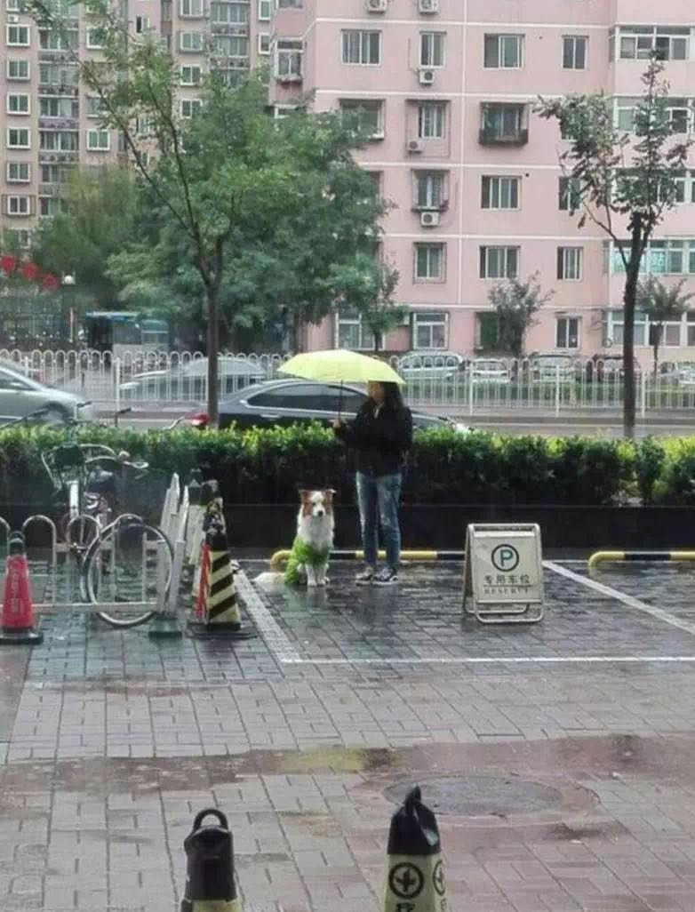 打屁股色情视频