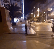 婚纱动图_婚纱图片唯美(3)