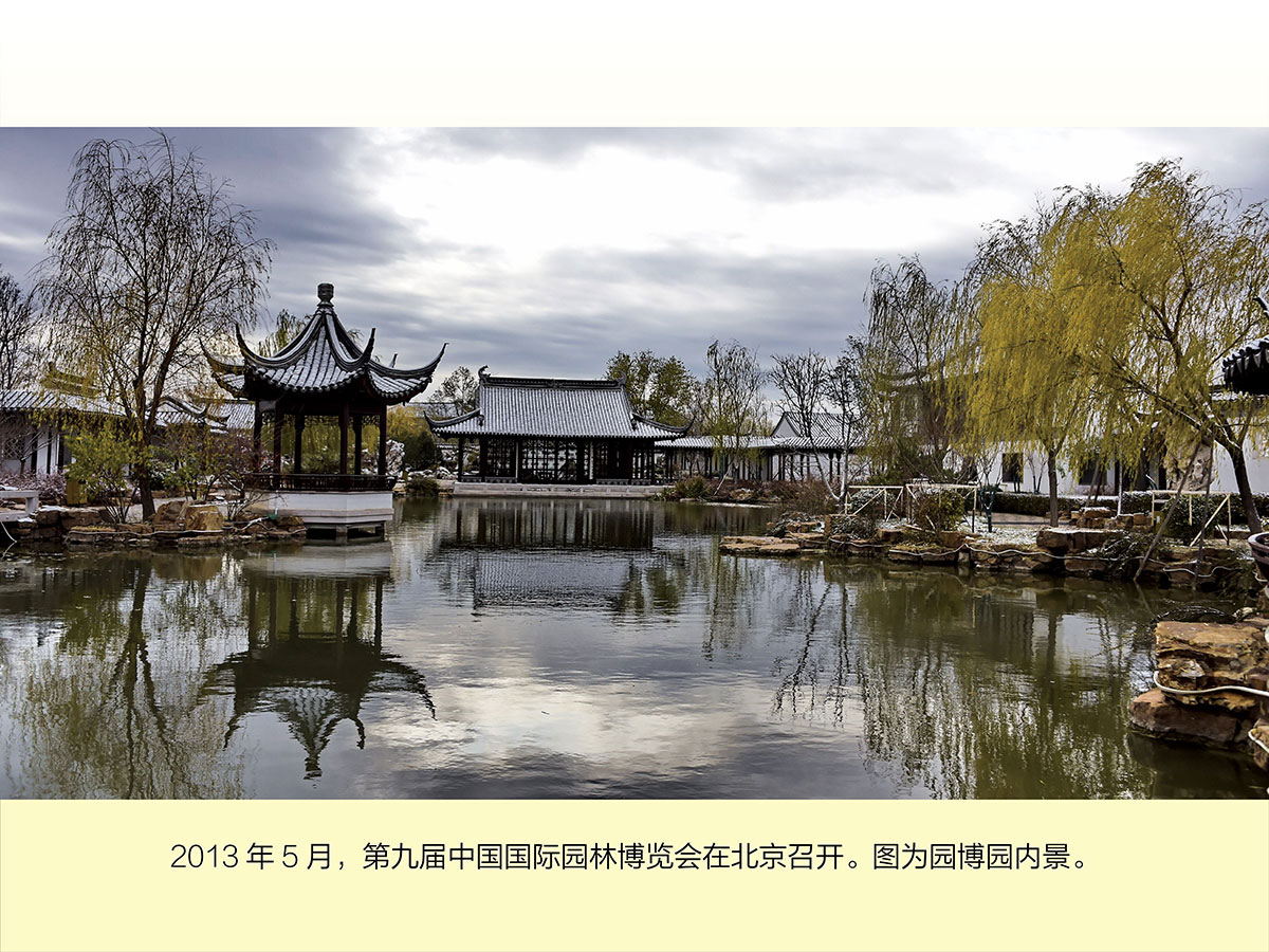 欧美成人a