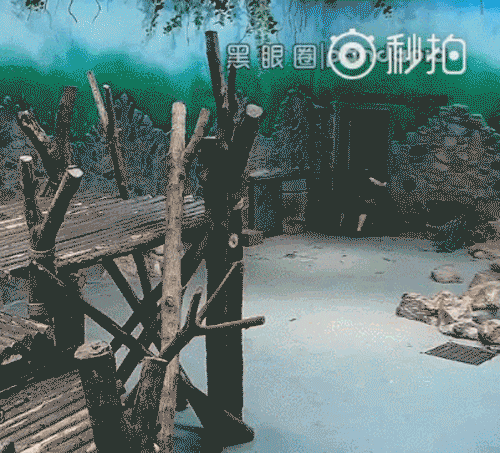 王钟瑶黄网视频