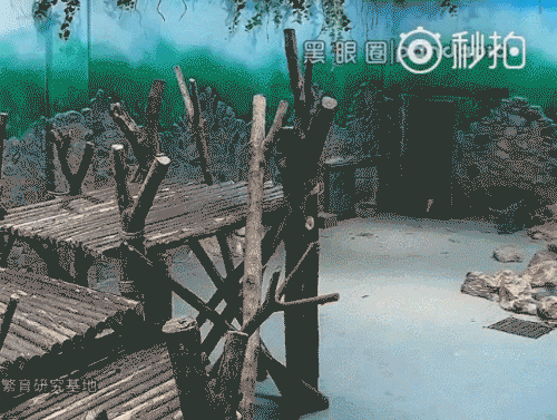 亚洲av网站