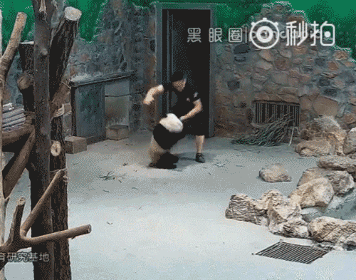 麻麻的骚屄