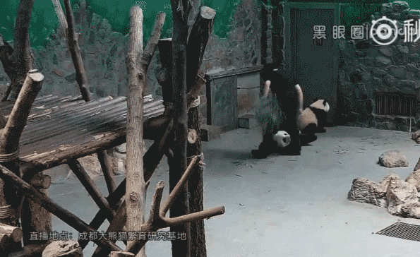 搡BBBB推BBBB推BBBB