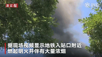 老板脱我内裤随时做