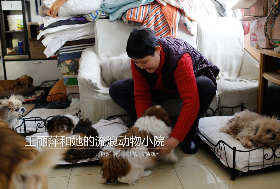 DXJ免费视频观看，遍览网络内容，尽享在线观看乐趣