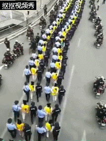 8DZ0-fyitamv6345496.gif