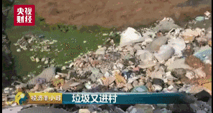 男Ji大巴进入女人的游戏